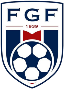 Federação Goiana de Futebol